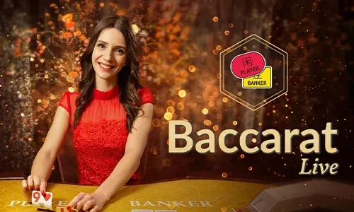 Taya365 Sabong Betting